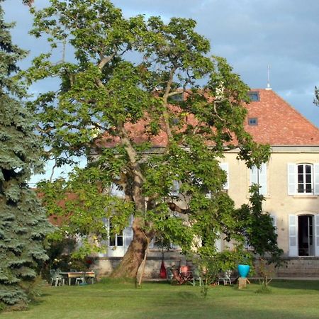 Le Clos Des Roseaux Chorey-les-Beaune Exteriör bild